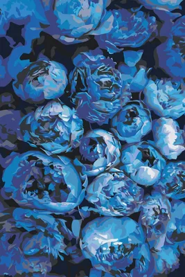 Синие пионы: Фотка высокого качества для печати в формате WebP