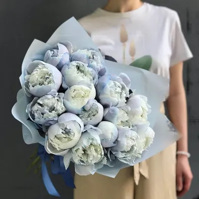 Синие пионы: Фото с яркими и насыщенными цветами в формате WebP