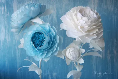 Синие пионы: Фотография с мягкими пастельными цветами в формате JPG