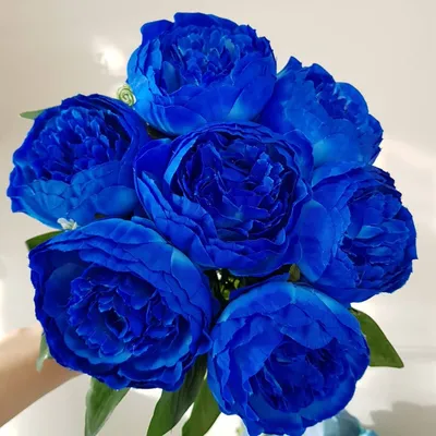 Синие пионы: Фотка с привлекательным боке в формате WebP