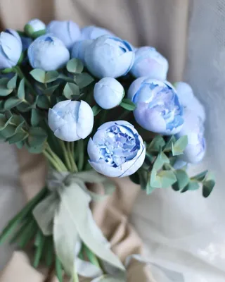 Синие пионы: Фотка с натуральными цветами в формате JPG