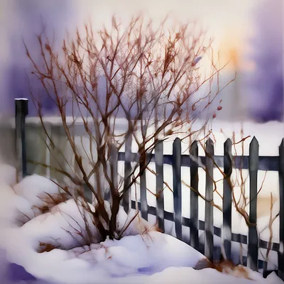Фотографии зимней сирени: вдохновляющая зимняя красота