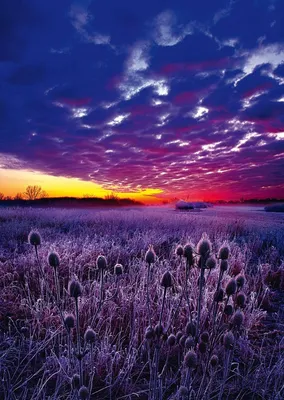 Фото с волшебным закатом: волны фиолетовых оттенков