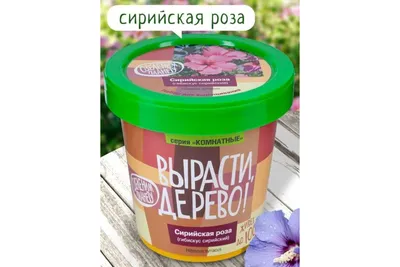 Сирийская роза: красивая картинка с настраиваемыми опциями