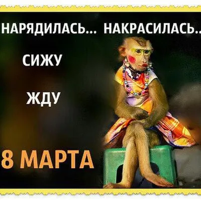 Фото на 8 марта: выберите размер и формат для скачивания (JPG, PNG, WebP)