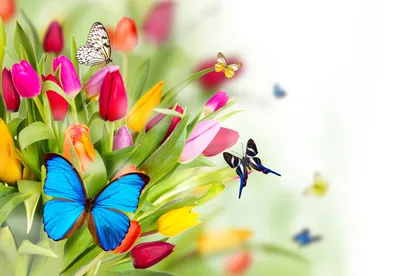 **Украсьте свою страницу яркими фотографиями весны и наслаждайтесь красотой**