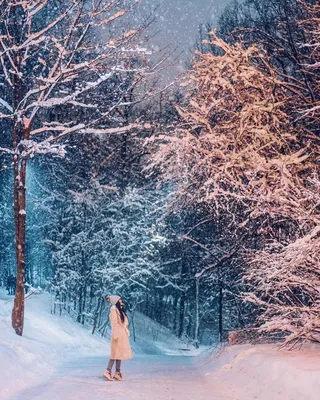 Зимнее волшебство: Фото Сказочной Зимы в различных размерах