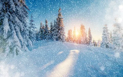 Фотографии зимнего волшебства: Выбор размера и формата изображения