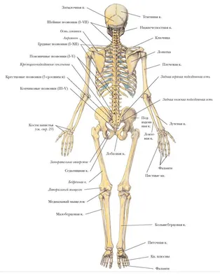 Сравнение форматов изображений: JPG, PNG, WebP