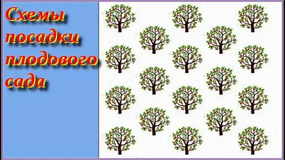 Полезная информация обо Схема посадки плодовых деревьев: новое изображение в HD