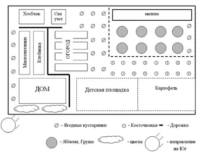 Изысканные фото схемы посадки плодовых деревьев для вашего сада