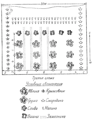 Поймайте вдохновение: фотографии схемы посадки плодовых деревьев