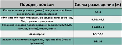 Обои на телефон с посадкой плодовых деревьев