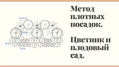 4K фото схемы посадки плодовых деревьев