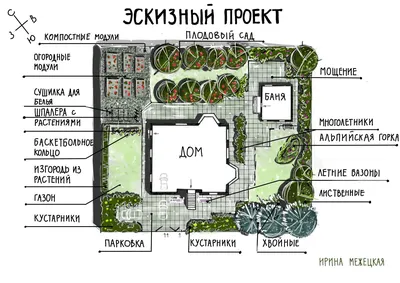 Рисунок схемы посадки плодовых деревьев на рабочий стол