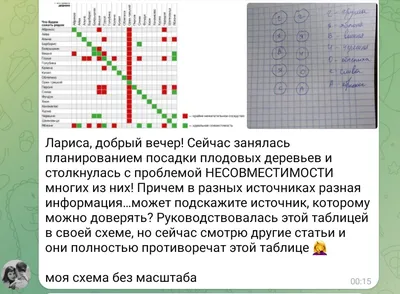 Изображение с шаговым рисунком посадки плодовых деревьев