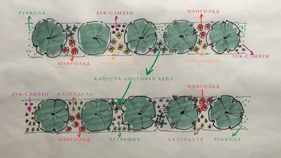 Обои на телефон с красивыми фотографиями посадки плодовых деревьев