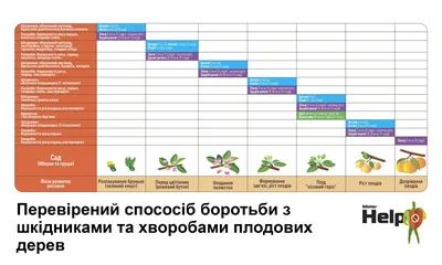 Full HD фотография с детальной схемой посадки плодовых деревьев на Mac