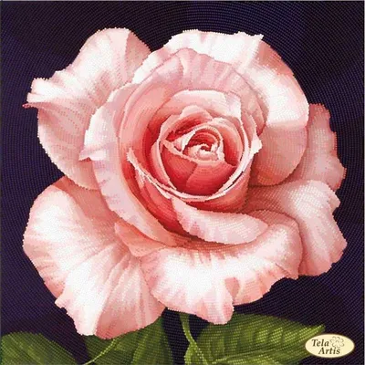Картинка узора для бисероплетения розы с подробностями