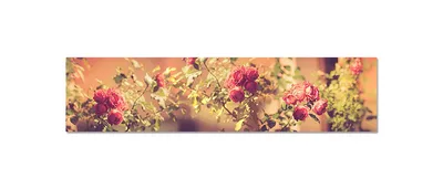 Фотография скинали с розой: доступные форматы