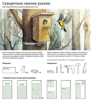 Фотографии скворечников для птиц для скачивания: выберите формат