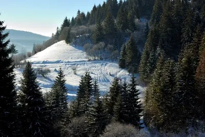 Славське в зимнем наряде: Лучшие фотографии сезона