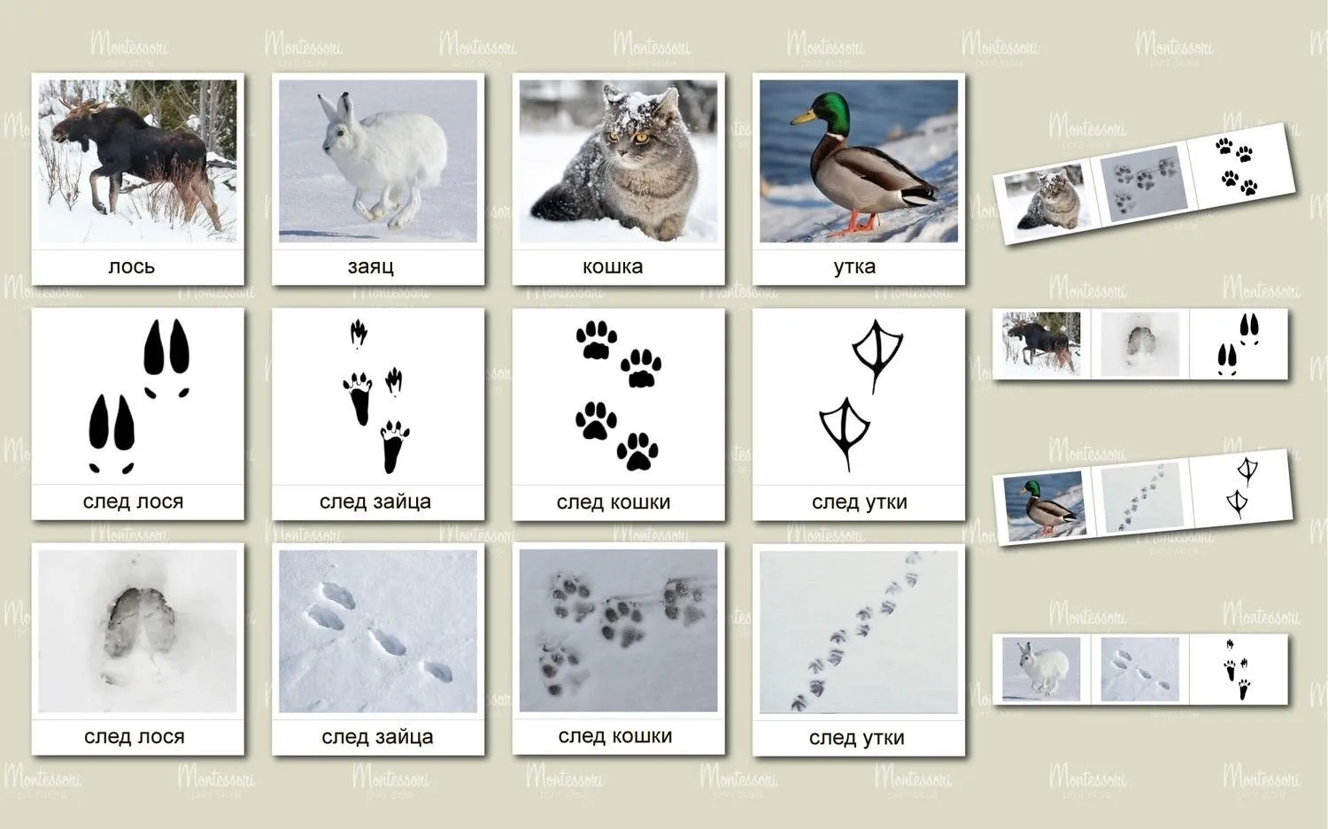 Следы животных и птиц на снегу – схемы с названиями