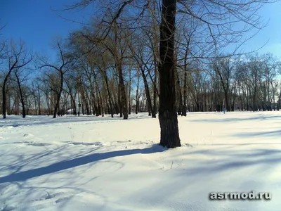 Впечатляющие изображения следов чупакабры в 4K