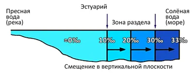 Уникальный образ слияния двух морей в формате Full HD