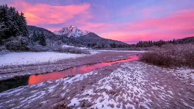 Зимняя палитра Словении: Удивительные изображения в формате WebP