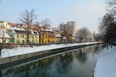 Зимние узоры Словении: Фотоальбом в формате WebP