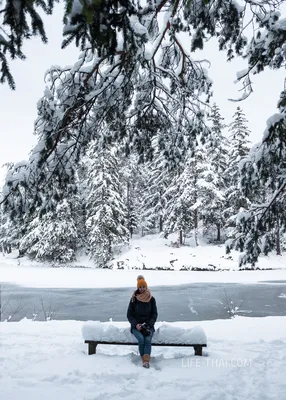 Фотоальбом зимы в Словении: Великолепие ледяных мотивов