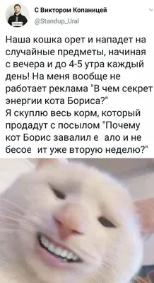 Смешные снимки, чтобы рассмешить всех