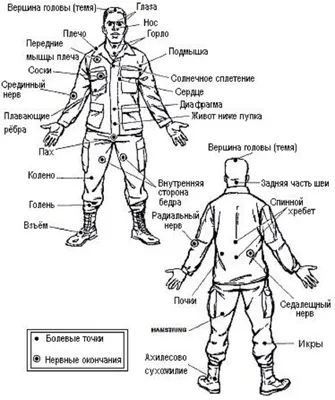 Картинка смертельных точек человека: Формат PNG доступен