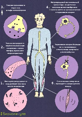 Изображение смертельных точек: Скачать в PNG формате