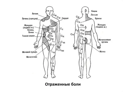 Фото смертельных точек на теле человека: Скачать в WebP формате