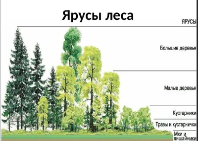 Картинка с удивительными обоями на телефон