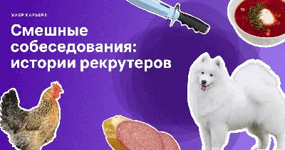 Смешная курица на изображении PNG (смешная)