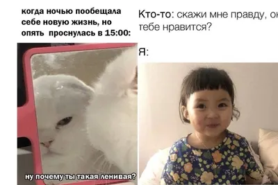 Смешные картинки для всех случаев