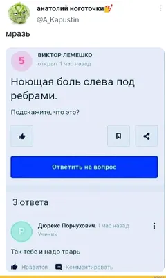 Фотография, которая поднимет ваше настроение