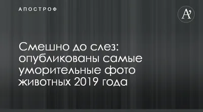 Смешная картинка Смешно до слез в разных форматах