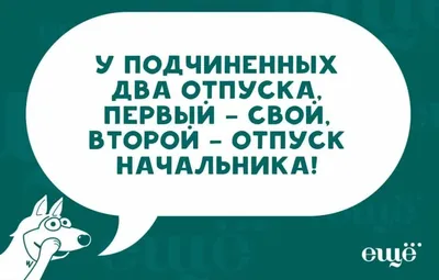 Лучшее средство от плохого настроения: смешные фото для поднятия духа