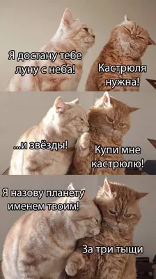 Новая фотография Лены, которая вызовет смех!