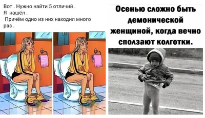 Новые смешные фотографии для скачивания