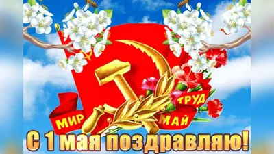 Загрузка смешных фото на 1 мая: формат JPG