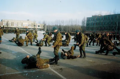 Новые смешные армейские фото для вашего дня!