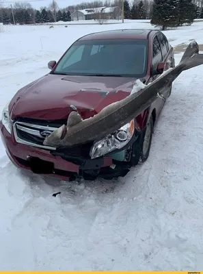 Улыбнитесь смешным авариям на изображениях