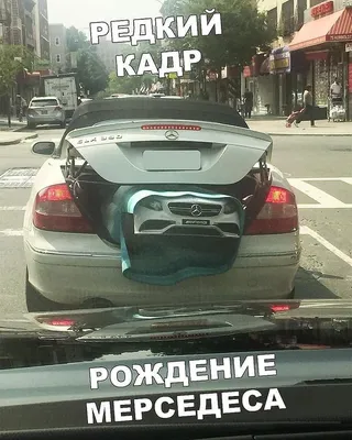 Уникальные снимки смешных автомобилей