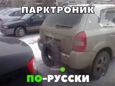 Забавные автомобильные снимки, которые заставят вас смеяться