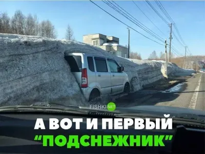 Скачать бесплатно смешные авто картинки